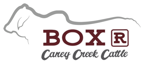 BoxR-logo-slider