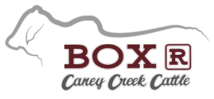 Box R Caney Creek Cattle Logo