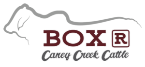 BoxR-logo